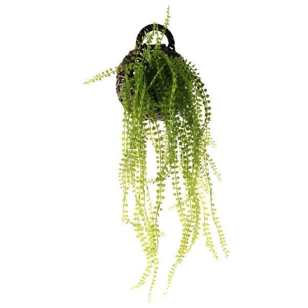 Artificial String Of Pearls In Black Hanging Wall Basket 5 Artificial String Of Pearls In Black Hanging Wall Basket - Image 3