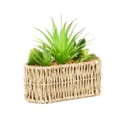 Artificial Succulents In Woven Plant Pot 8 Artificial Succulents In Woven Plant Pot -Home Decoration 30689660 alt02