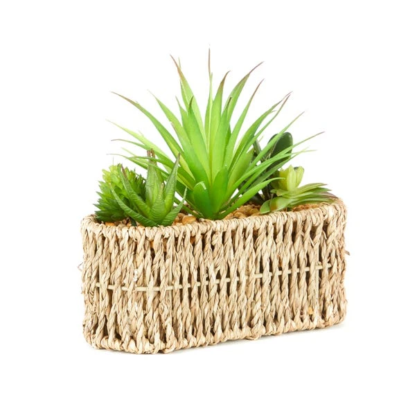 Artificial Succulents In Woven Plant Pot 5 Artificial Succulents In Woven Plant Pot - Image 3