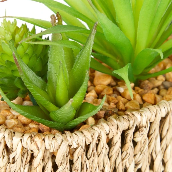 Artificial Succulents In Woven Plant Pot 6 Artificial Succulents In Woven Plant Pot - Image 4