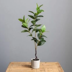 Artificial Lemon Leaf In Concrete Plant Pot 10 Artificial Lemon Leaf In Concrete Plant Pot -Home Decoration 30724505 alt03