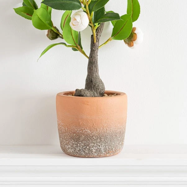Artificial Camellia Tree In Terracotta Plant Pot 5 Artificial Camellia Tree In Terracotta Plant Pot - Image 3