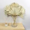 Dried Gold Sun Spear Bundle -Home Decoration 30730255