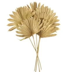 Dried Gold Sun Spear Bundle 16 Dried Gold Sun Spear Bundle -Home Decoration 30730255 alt04