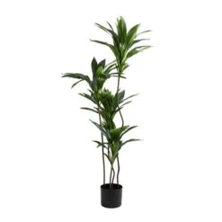 Artificial Real Touch Dracaena In Black Plant Pot 7 Artificial Real Touch Dracaena In Black Plant Pot -Home Decoration 30758830 alt02