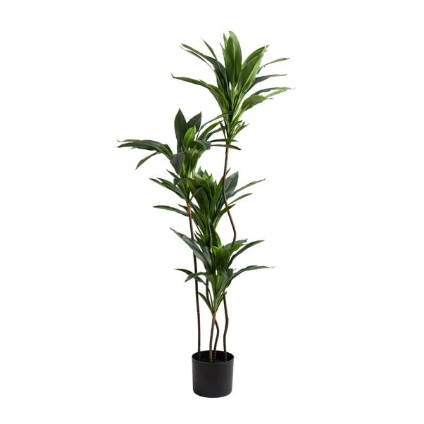 Artificial Real Touch Dracaena In Black Plant Pot 5 Artificial Real Touch Dracaena In Black Plant Pot - Image 3