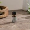 Eucalyptus Essential Oil 1 Eucalyptus Essential Oil -Home Decoration 30766908