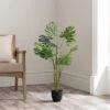 Artificial Cheese Plant In Black Plant Pot 2 Artificial Cheese Plant In Black Plant Pot -Home Decoration 30794563