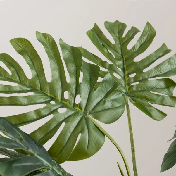 Artificial Cheese Plant In Black Plant Pot 4 Artificial Cheese Plant In Black Plant Pot - Image 2