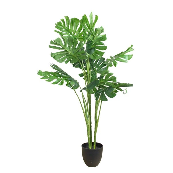 Artificial Cheese Plant In Black Plant Pot 6 Artificial Cheese Plant In Black Plant Pot - Image 4