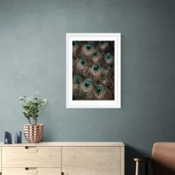 East End Prints Peacock Feathers Print -Home Decoration 30843721
