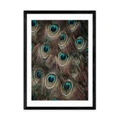 East End Prints Peacock Feathers Print -Home Decoration 30843723 alt01