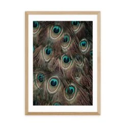 East End Prints Peacock Feathers Print -Home Decoration 30843724 alt01