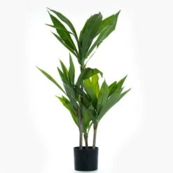 Artificial Real Touch Dracaena Tree In Black Plant Pot 7 Artificial Real Touch Dracaena Tree In Black Plant Pot -Home Decoration 30860951 alt02