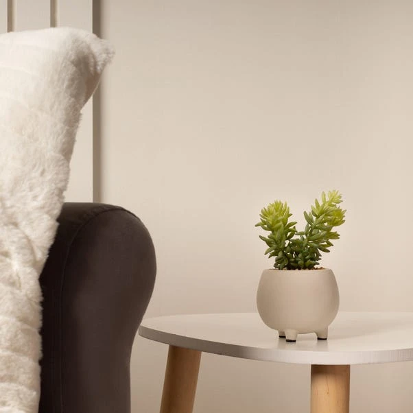 Artificial Set Of 3 Succulents In Cream Cement Plant Pots 4 Artificial Set Of 3 Succulents In Cream Cement Plant Pots - Image 2