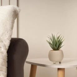 Artificial Set Of 3 Succulents In Cream Cement Plant Pots 13 Artificial Set Of 3 Succulents In Cream Cement Plant Pots -Home Decoration 30860960 alt03