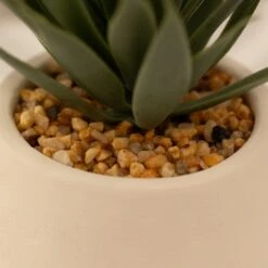 Artificial Set Of 3 Succulents In Cream Cement Plant Pots 14 Artificial Set Of 3 Succulents In Cream Cement Plant Pots -Home Decoration 30860960 alt04