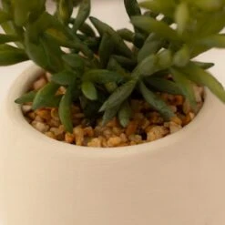 Artificial Set Of 3 Succulents In Cream Cement Plant Pots 15 Artificial Set Of 3 Succulents In Cream Cement Plant Pots -Home Decoration 30860960 alt05