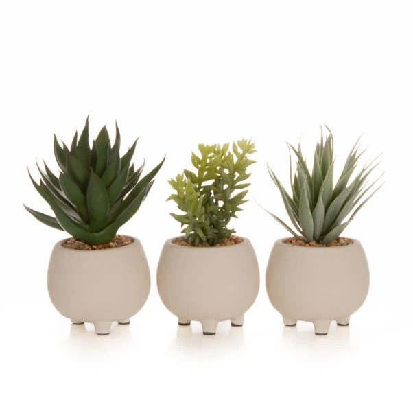 Artificial Set Of 3 Succulents In Cream Cement Plant Pots 10 Artificial Set Of 3 Succulents In Cream Cement Plant Pots - Image 8