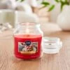 Raspberry Cloud Jar Candle 1 Raspberry Cloud Jar Candle -Home Decoration 30862615