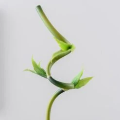 Artificial Lucky Bamboo Stem -Home Decoration 30864041 alt04