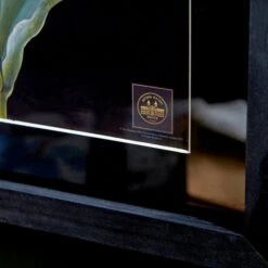 Tulip Framed Print -Home Decoration 30866671 alt02