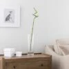 Artificial Lucky Bamboo Stem 2 Artificial Lucky Bamboo Stem -Home Decoration 30870093
