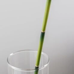 Artificial Lucky Bamboo Stem -Home Decoration 30870093 alt03