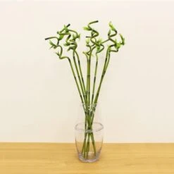 Artificial Lucky Bamboo Stem -Home Decoration 30870093 alt05