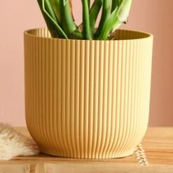 Swiss Cheese House Plant In Elho Pot -Home Decoration 30875284 alt02