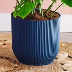 Swiss Cheese House Plant In Elho Pot -Home Decoration 30875295 alt02