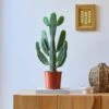 Cowboy Cactus House Plant -Home Decoration 30875575