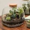 Bowl Shape Large Terrarium DIY Kit -Home Decoration 30878058