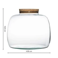 Bowl Shape Large Terrarium DIY Kit -Home Decoration 30878058 alt02