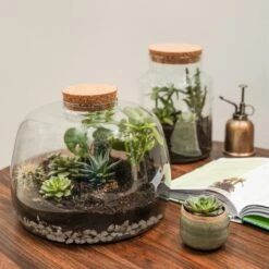 Bowl Shape Large Terrarium DIY Kit -Home Decoration 30878058 alt04