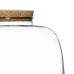 Bowl Shape Large Terrarium DIY Kit -Home Decoration 30878058 alt05