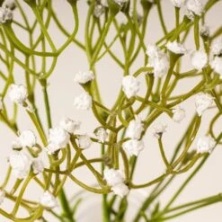 Set Of 3 Artificial Gypsophila Bundles In Glass Bottle Vases -Home Decoration 30901244 alt05