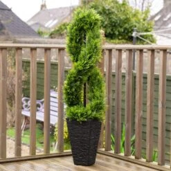 Artificial Twisted Cedar Topiary In Stone Pot