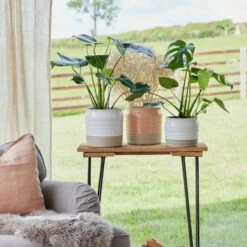 Puro Lipped Gloss Ripple Plant Pot -Home Decoration 30911861 alt02