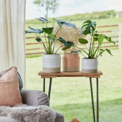 Puro Lipped Gloss Ripple Plant Pot -Home Decoration 30911862 alt02