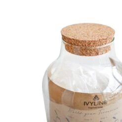 Angular Glass Small Terrarium Diy Kit -Home Decoration 30911901 alt02