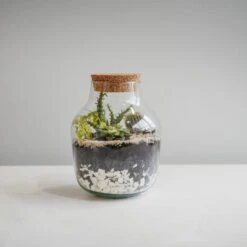 Angular Glass Small Terrarium Diy Kit -Home Decoration 30911901 alt04