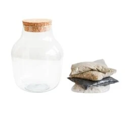 Angular Glass Small Terrarium Diy Kit -Home Decoration 30911901 alt05