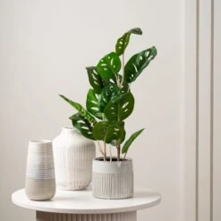 Artificial Real Touch Monstera In Black Plastic Plant Pot