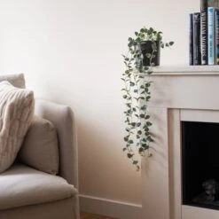 Artificial String Of Hearts In Black Plastic Plant Pot