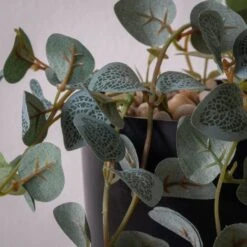 Artificial String Of Hearts In Black Plastic Plant Pot 7 Artificial String Of Hearts In Black Plastic Plant Pot -Home Decoration 30913534 alt02