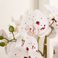 Artificial White Speckled Orchid In Beige Ceramic Plant Pot -Home Decoration 30913547 alt01