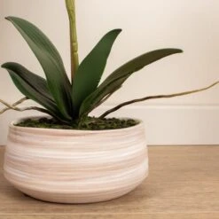 Artificial White Speckled Orchid In Beige Ceramic Plant Pot -Home Decoration 30913548 alt02
