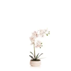 Artificial White Speckled Orchid In Beige Ceramic Plant Pot -Home Decoration 30913548 alt03