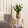 Artificial Spikey Plant In Bamboo Plant Pot -Home Decoration 30913554